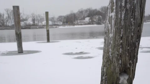 Close up of log in water Stock Footage 102083358