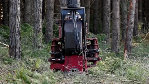 Close up of logging machine Stock Footage 172559466