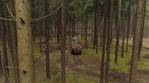 CLOSE UP Logging truck loaded with tree trunks driving from the woods to sawmill Stock Footage