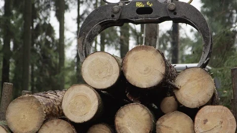 CLOSE UP: Logging truck's swing arm lifting and loading pile of tree trunks Stock Footage 73358775
