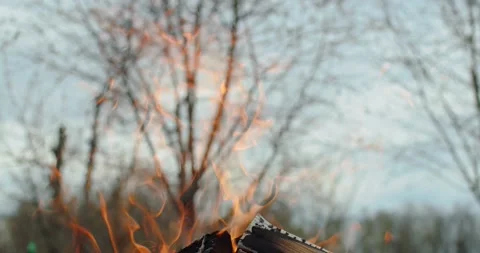 Close up logs burning outdoors on blue sky country background copy space text Stock Footage 153926516