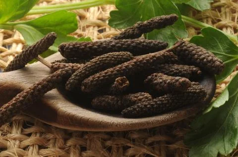 Close up on long pepper Stock Photos