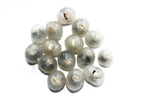 Close up of longan on a white background Stock Photos
