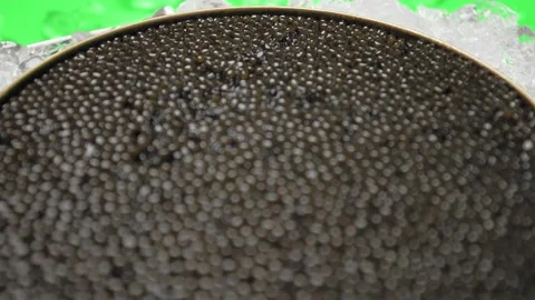Close-up look to Caviar Deep brown to gold from the Osetra sturgeon in 4K. Video stock 149605034