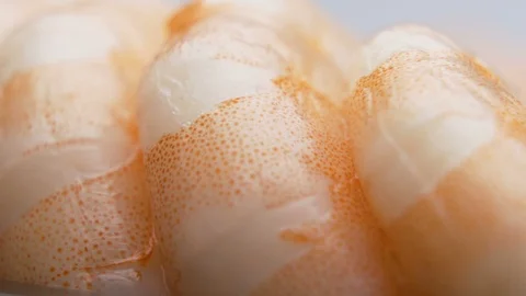 Close look of dotted segments of Prawn Abdomen. Shrimp food Background Stock Footage 126654467