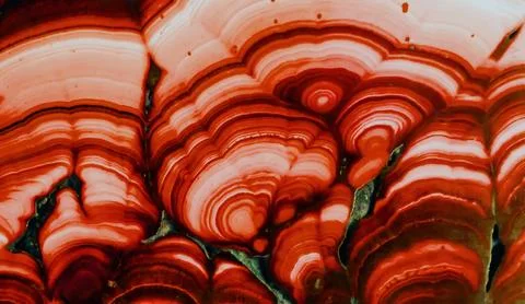 Close look at layers of red and white tones in a piece of natural stone from Stock Photos