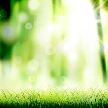 Close-up look at natural grass background Stock Illustration