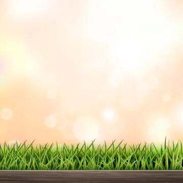 Close-up look at natural grass background Stock Illustration