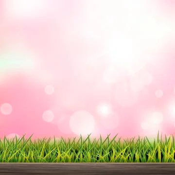 Close-up look at natural grass background Stock Illustration