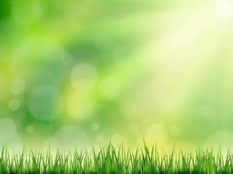 Close-up look at natural grass background Stock Illustration