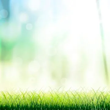Close-up look at natural grass background Stock Illustration