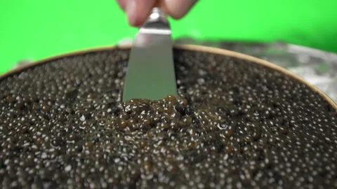 Close-up look serving Caviar with Deep brown to gold colour from Osetra sturgeon Stock Footage 149608916