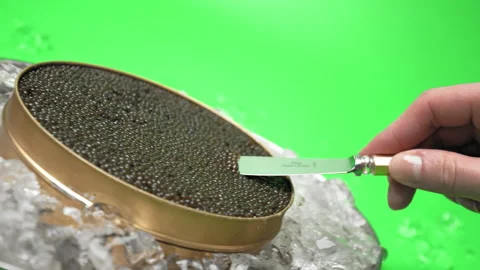 Close-up look serving Caviar with Deep brown to gold colour from Osetra sturgeon Video stock 149609969