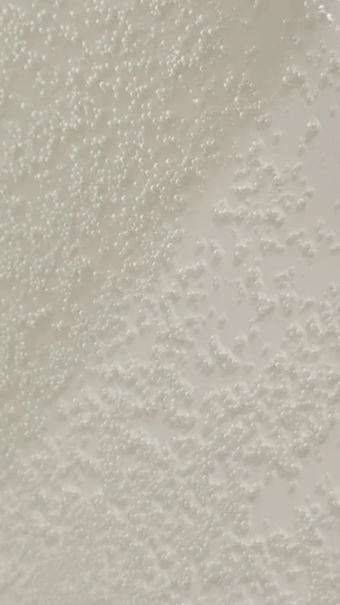 Close look at texture on white wall Stock Footage 341292979