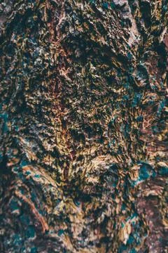 Close look at tree texture Stock Photos