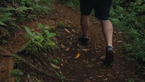 Close Up Looking Down At Legs Hiking Through a Forest 4K Stock Footage 267048321