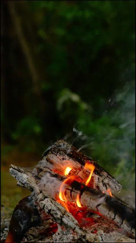 Close-up Loop of Burning Campfire Embers Video stock 342505282