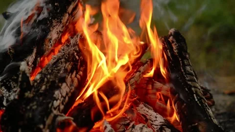 Close-up Loop of Burning Campfire Logs Video stock 342504510