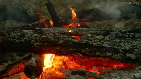 Close-up Loop of Burning Campfire Logs Vídeos de archivo 342505079