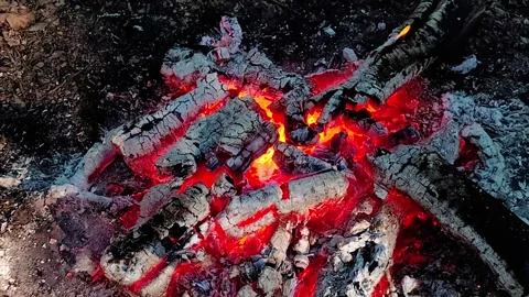 Close-up Loop of Glowing Campfire Embers Video stock 342504764