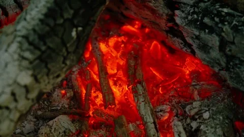 Close-up Loop of Hot Campfire Coals Stock-Footage 342504917