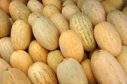 Close up of a lot of melons Stock Photos