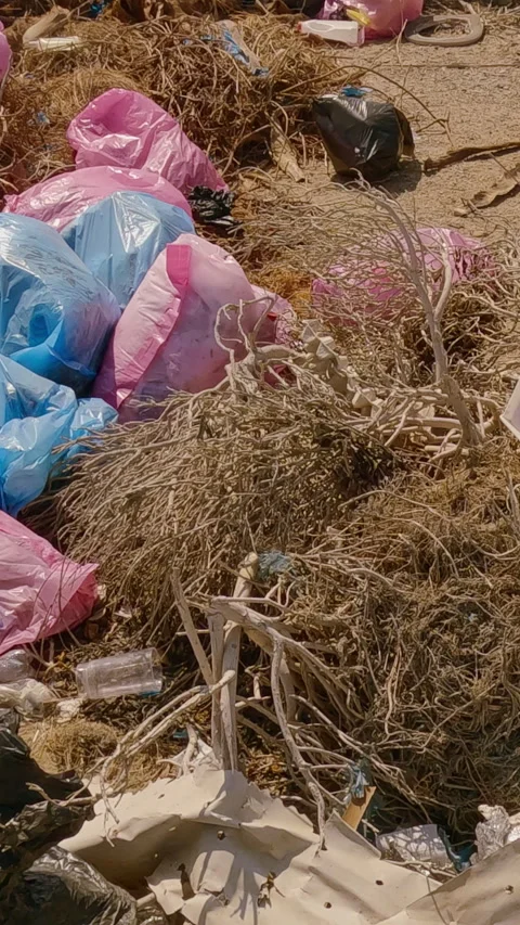 Close-up of lot of plastic and other garbage thrown in desert near hotels of Stock Footage 295919277