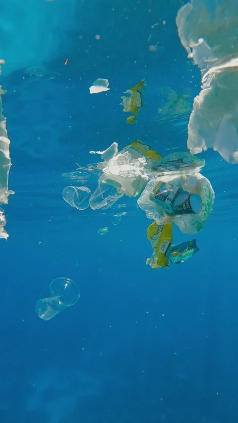 Close-up, A lot of plastic debris floating under surface in turquoise water Stock Footage 312124183