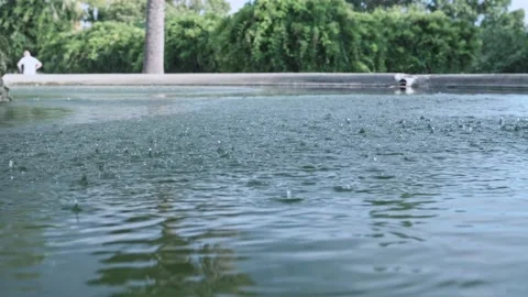 Close-up a lot of raindrops quickly fall on the surface of the blue flower water Stock Footage 212421225