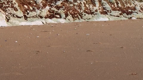 Close Up Lots of Springtail Bugs Jumping Around At The Beach. Stock Footage 266022069