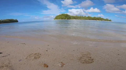 Close up low angle dog footprints look out view on ground at Muri beach to horiz Stock Footage 253460571