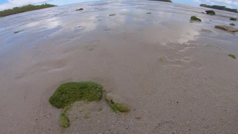 Close up low angle look down around view on ground at beach sandy side look out  Stock Footage 253461564