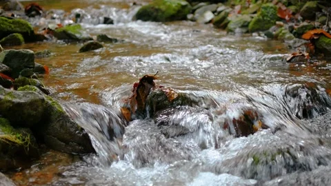 Close up low angle small Alpine stream flows downstream Stock Footage 143022334