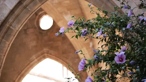 Close-up low angle still shot of an old castle building ruin with arch windows Stock Footage 128597460