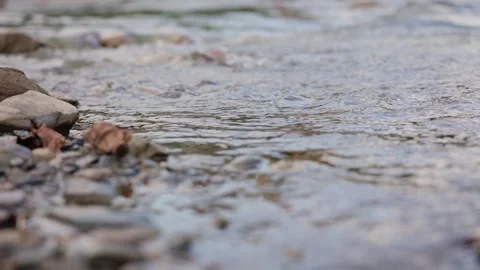 Close up low angle view of clear water flowing over smooth river stones Vídeo Stock 342017007