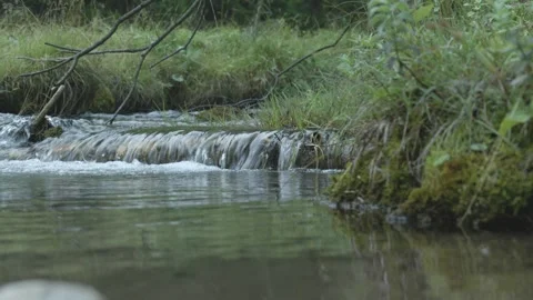Close-Up Low Angle View of Small Forest Stream Cascade – Nature Detail Shot Stock Footage 316963869