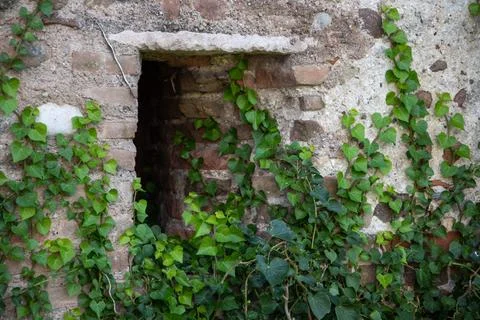 Close-up low-angle view through a narrow opening in a weathered brick wall,.. Stock-Fotos