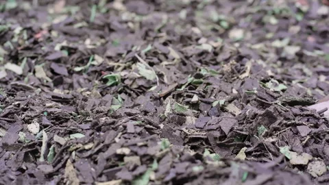 Close up of Low Density Polyethylene (LDPE) scrap. Stock Footage 248097645