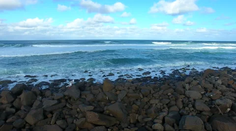 Up close low waves at beach with Seagulls Stock-Footage 65064586
