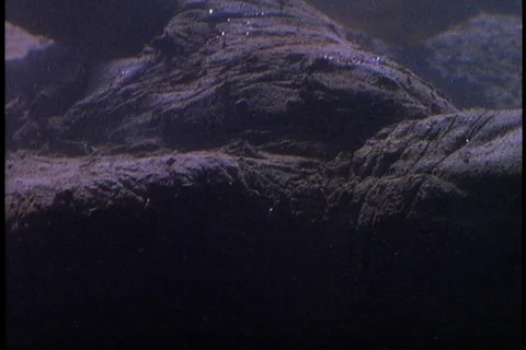 Close up of Lucy's lifeless hand lying at the bottom of a lake. Stock Footage 86752335