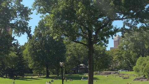 CLOSE UP: Lush green Central Park with tall glassy skyscrapers in the background Stock Footage 72361903