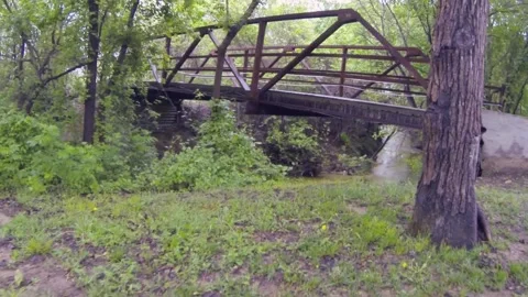 A close up of a lush green forest Stock Footage 155458448