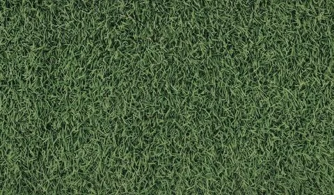 Close-up of lush green grass texture Stock Photos