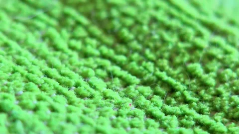 Close-up of lush green moss texture with vibrant natural details Stock-Footage 333807274