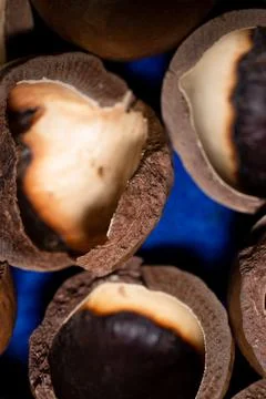 Close-up of macadamia nut shells on a blue background Foto stock