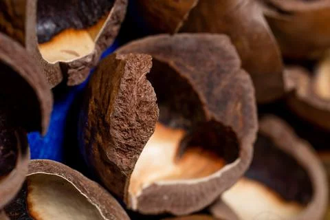 Close-up of macadamia nut shells on a blue background Foto stock