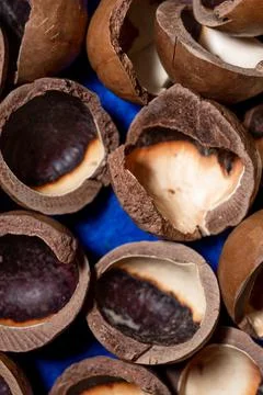 Close-up of macadamia nut shells on a blue background Foto stock