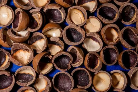 Close-up of macadamia nut shells on a blue background Stock Photos