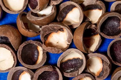 Close-up of macadamia nut shells on a blue background Foto stock