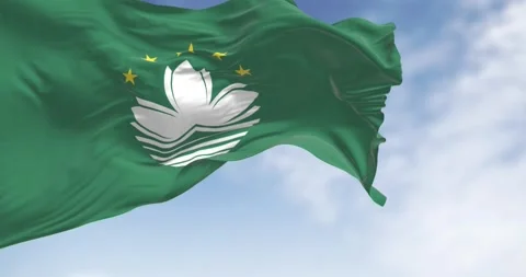 Close-up of Macau flag waving on a clear day Stock-Footage 262503746